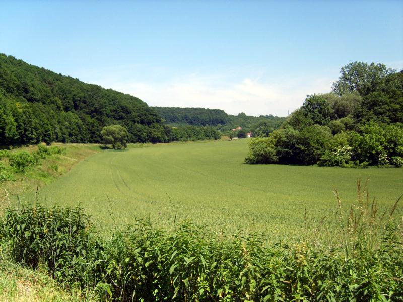 S8007399.JPG