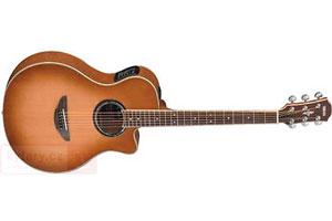 Yamaha APX700
